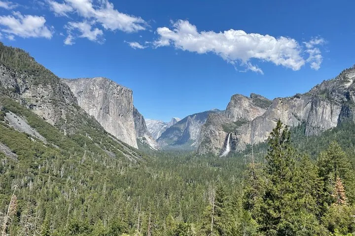 Private SUV or minivan on a Yosemite tour from San Francisco, California