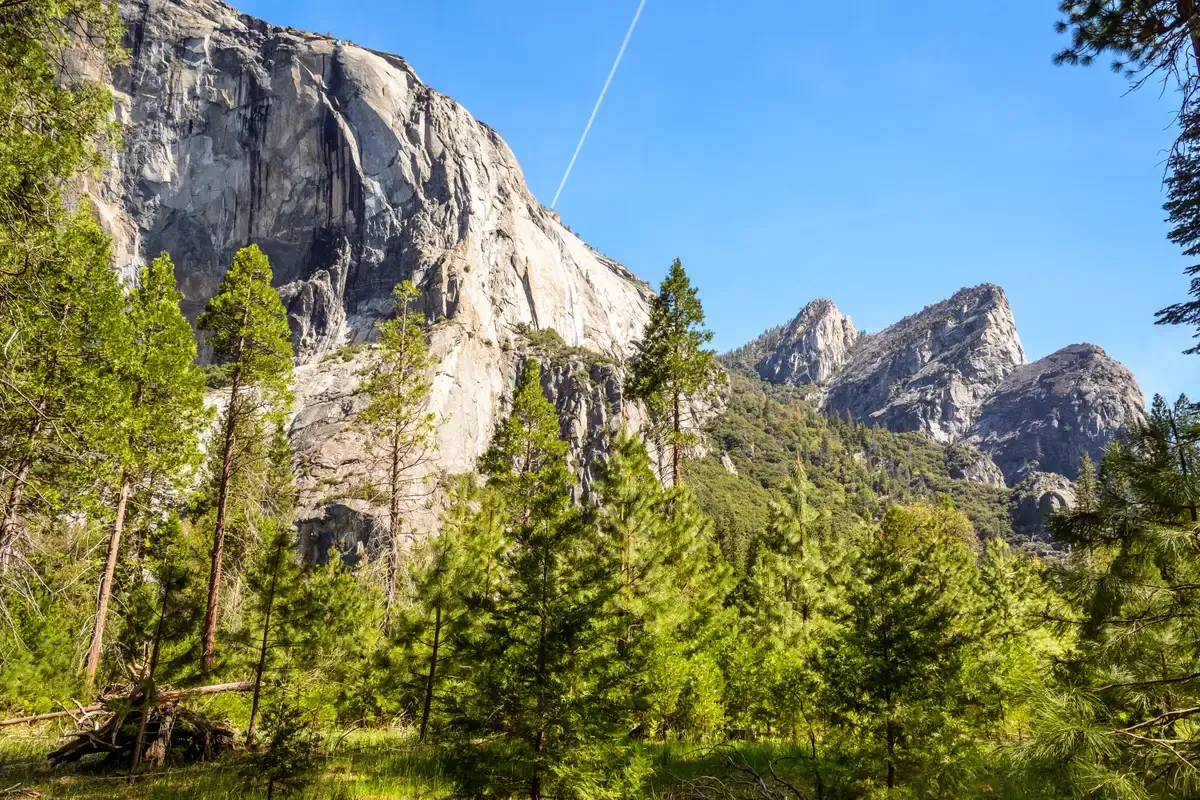El Capitan's granite cliff rising above the pines on a Yosemite tour from San Francisco, California